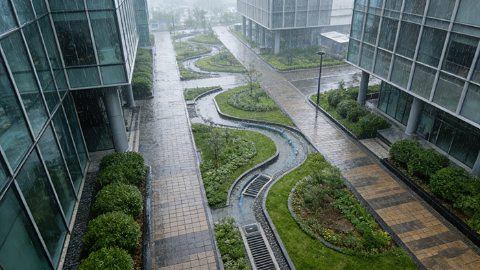 走近海绵城市雨水收集系统：看 “天落水” 如何变身为城市 “宝藏”