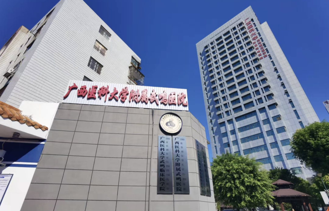 广西武鸣医院